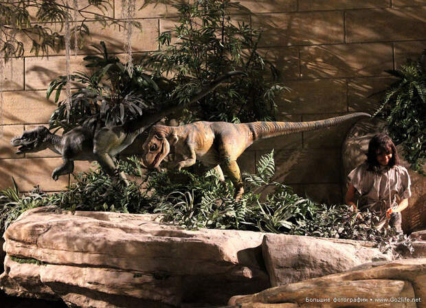 Парк Creation Museum