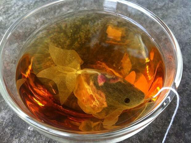 Чайные пакетики – золотые рыбки 2