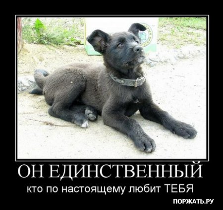 В продолжении демотиваторы