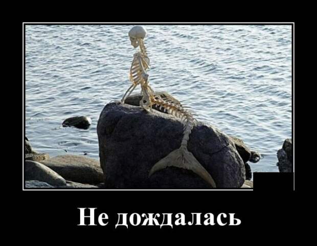 www.vsyako.net