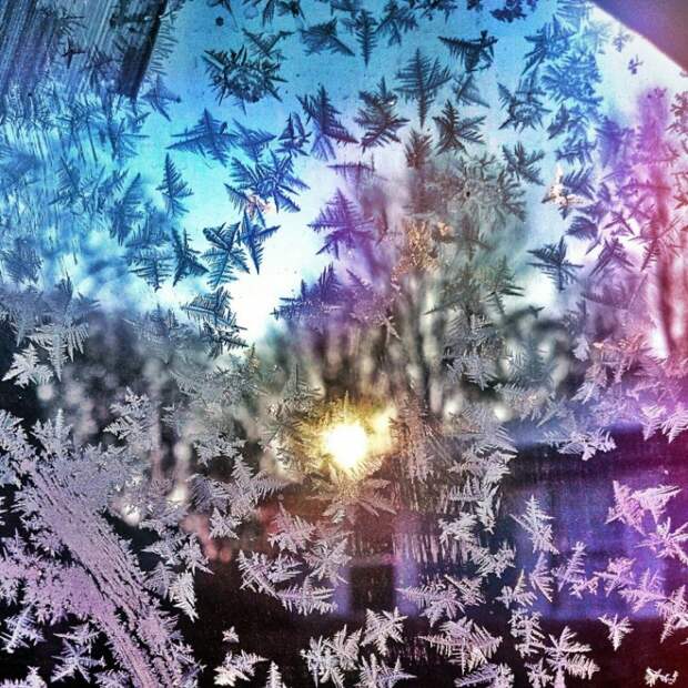 Красота природы на фотографиях