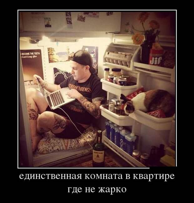 Демотиваторы (30 фото) Демотиваторы (30 фото)