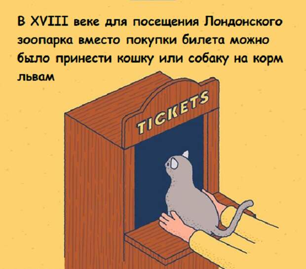 www.vsyako.net