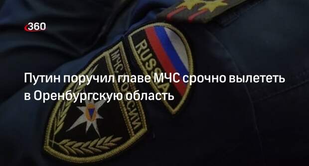 Песков: Путин поручил главе МЧС Куренкову вылететь в Оренбургскую область