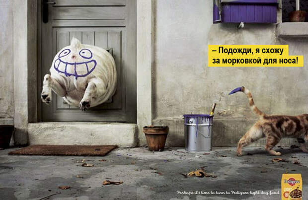 14 самых смешных реклам на тему ожирения и похудения 14 самых смешных реклам на тему ожирения и похудения