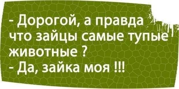 Блестящие цитаты