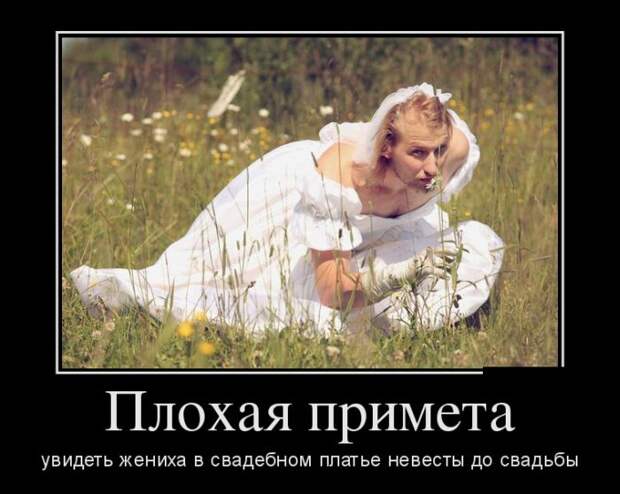 Демотиваторы (30 фото)