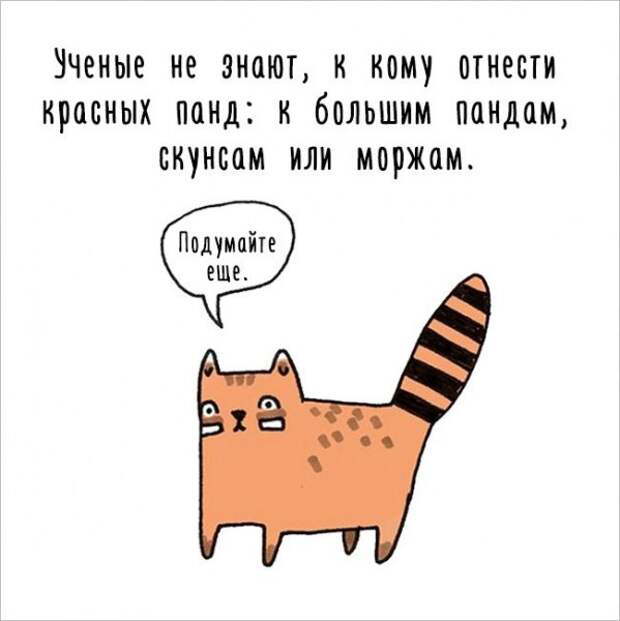 Интересные факты о животных в забавных рисунках (17 картинок)