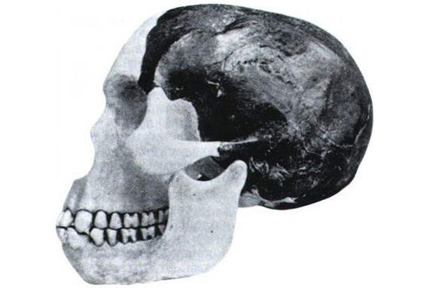 Странный череп из Пилтдауна