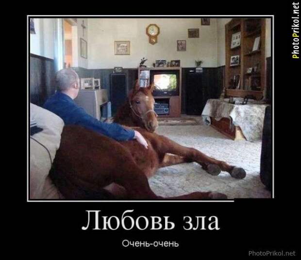 Демотиваторы про любовь (40 демотиваторов) Демотиваторы про любовь (40 демотиваторов)