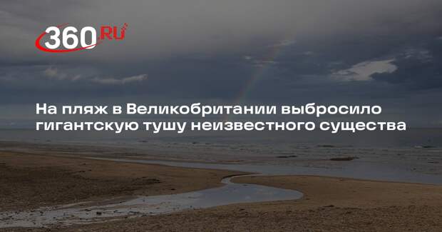 На пляж в Великобритании выбросило гигантскую тушу неизвестного существа