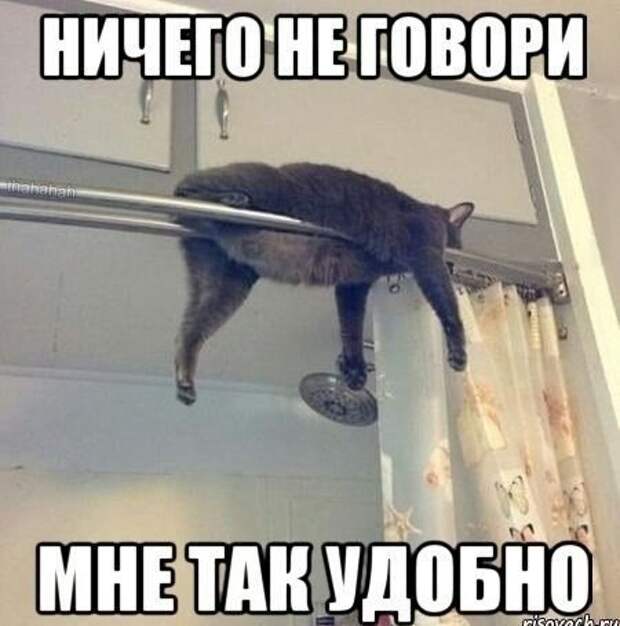 Картинки со смешными подписями картинки, прикол, юмор