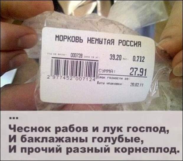 Смешные вывески и надписи, которые можно встретить в магазинах (34 фото)