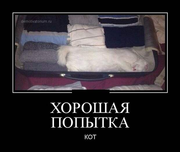 Демотиваторы (30 фото) Демотиваторы (30 фото)