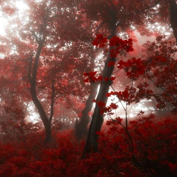 Красивые фотографии чешского фотографа Janek Sedlar