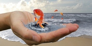 Такие желания всегда исполняются!