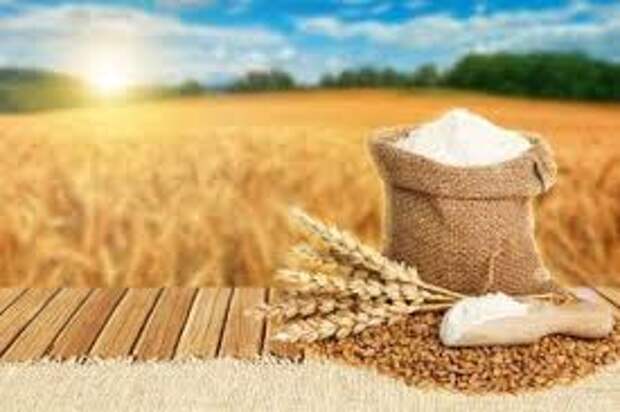 Image result for пшеница в поле, вода в источнике и соль в шахте