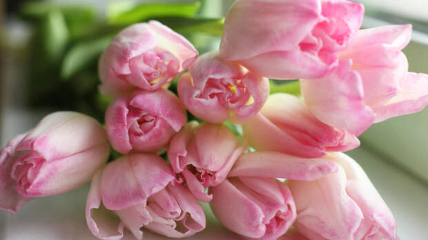 Россиянам рассказали, во сколько обойдутся цветы перед 8 Марта