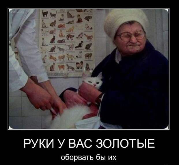 Сборник моих демотиваторов демотиватор, сборник