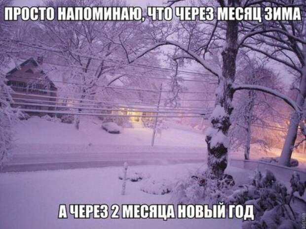 Пятничные картинки и фото-приколы (56 шт)