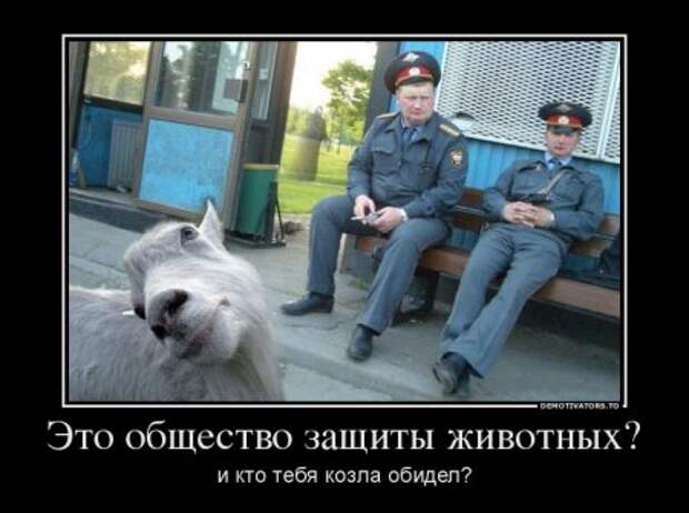 8 июня - День Козла, но празднуем с пятницы!