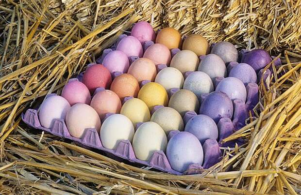 Рецепты натуральных красок для пасхальных яиц