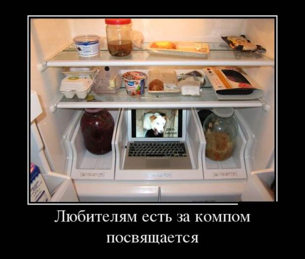 Демотиваторы (30 фото)