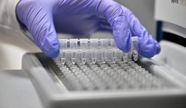 Ученые МГУ определили, как белок-регулятор выбирает позиции для связывания с геномной ДНК