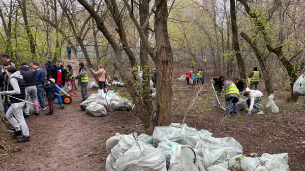 Жителей Ростова пригласили на общегородской субботник 10 сентября