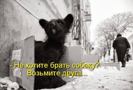 897c78f7297054282cb4d2aefc1_prev