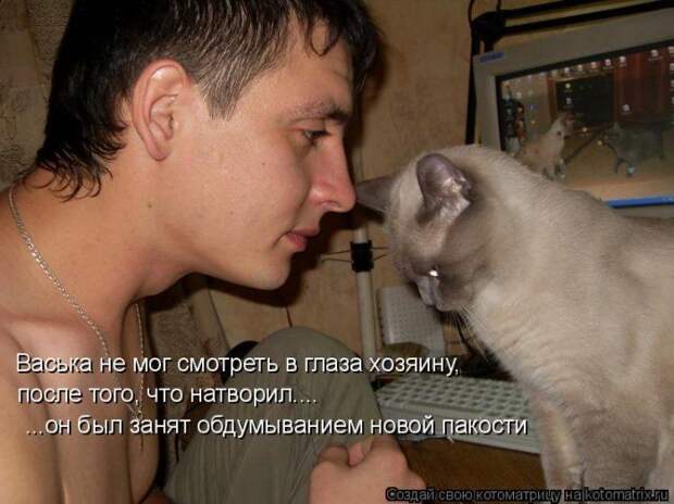 Мысли вслух :)