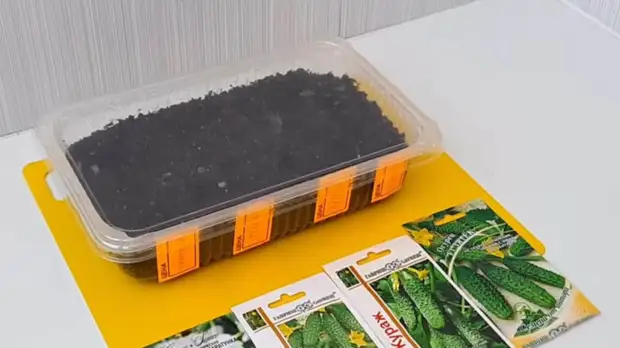 ������� ������ � ����� � ��������� ������ ������ � ���