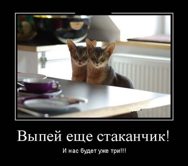 Выпей ещё стаканчик! И нас будет уже три!!! демотиватор, юмор