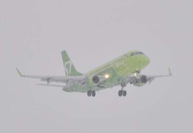 В Домодедово пассажиры 13 февраля ждут вылеты по 10-12 часов, и число задержанных вылетов растёт