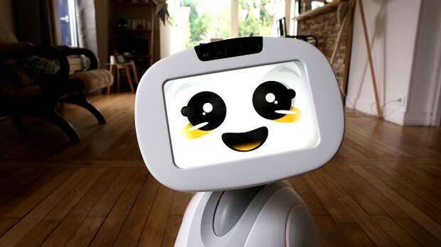 Французы из Blue Frog Robotics разрабатывают первого социального робота, который общается со всеми членами семьи, распознавая лица и объекты.