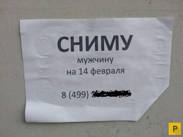Забавные объявления об аренде и прокате (24 фото)