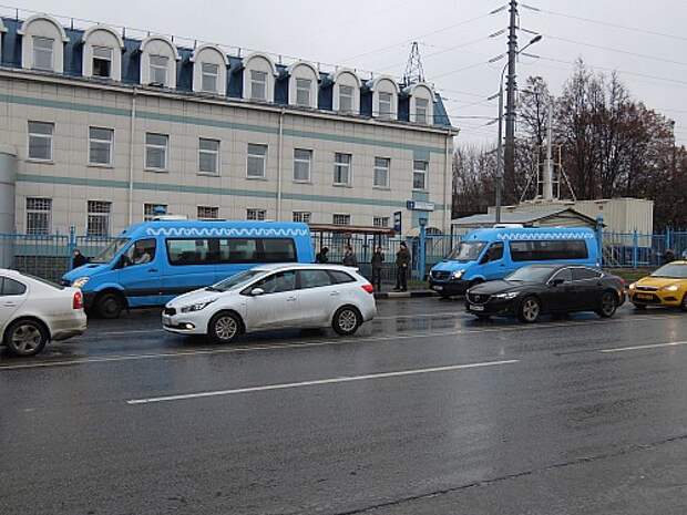 Два новых маршрута. Ярко-голубые автобусы пока еще выделяются на дороге. До конца 2016 года все маршрутки будут выглядеть именно так.
