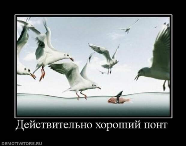 пятничные уматные демки)