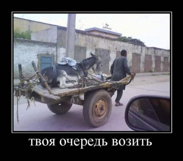 Демотиваторы злобные
