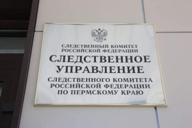 Председатель СК России дал поручение доложить о ходе расследования уголовного дела по факту избиения несовершеннолетней в Пермском крае
