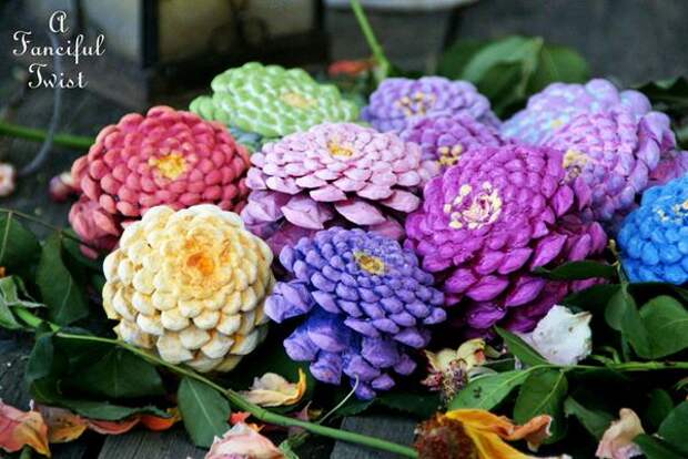 Pinecone flowers 8
