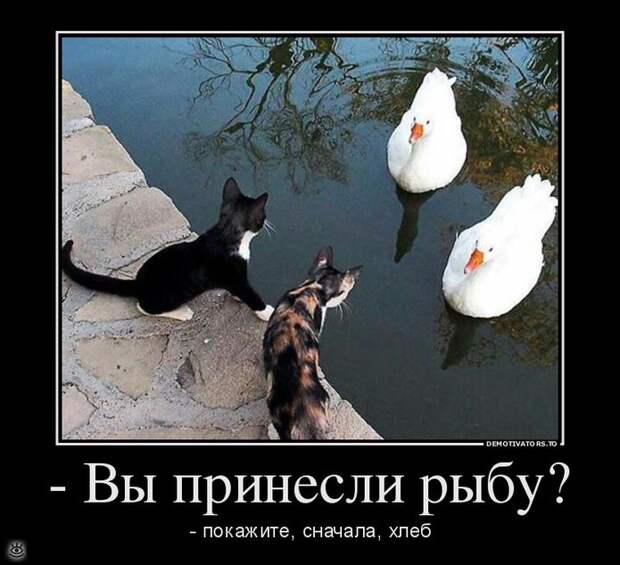 Просветление - это сюда! 3