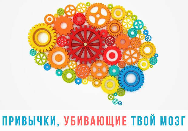 Все только интересное.. . - Портал профессионального образования Чеченской республики