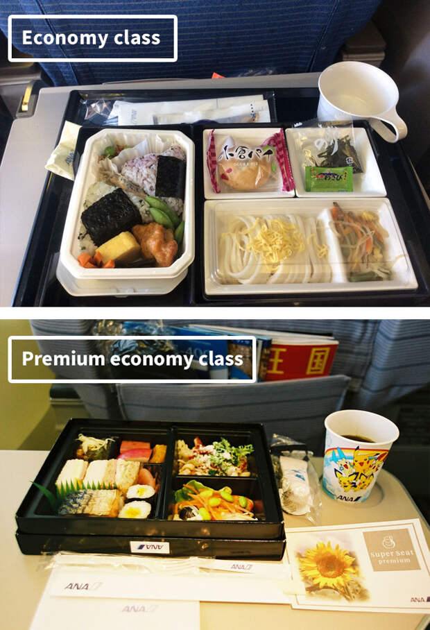 Ana Airlines-airline-food-