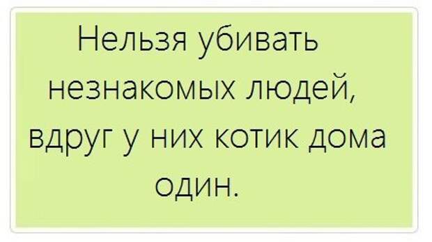 Новогодняя минутка юмора Новогодняя минутка юмора
