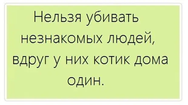 жизнь как у кота. воинственный котик. смешные мемы. мемы комиксы. непонимающий кот.