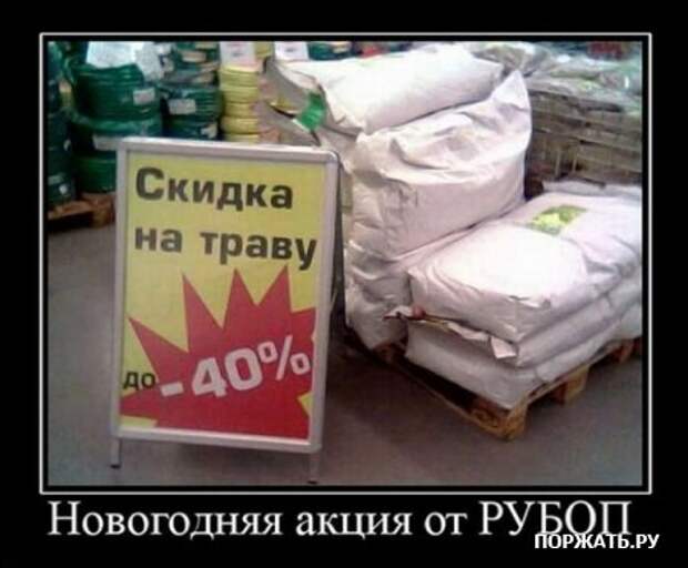 Демотиваторы разные фото приколы на все вкусы.