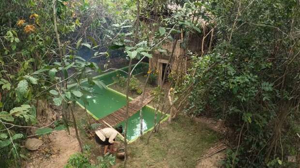 Видео: Девушка построила из бамбука виллу с бассейном в глухом лесу 