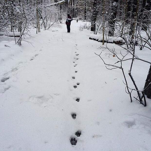 #russianwinter