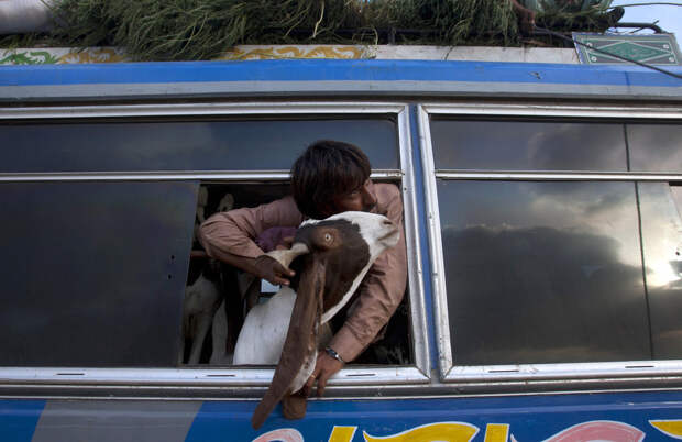 Кадры повседневной жизни в Пакистане пакистан, фото